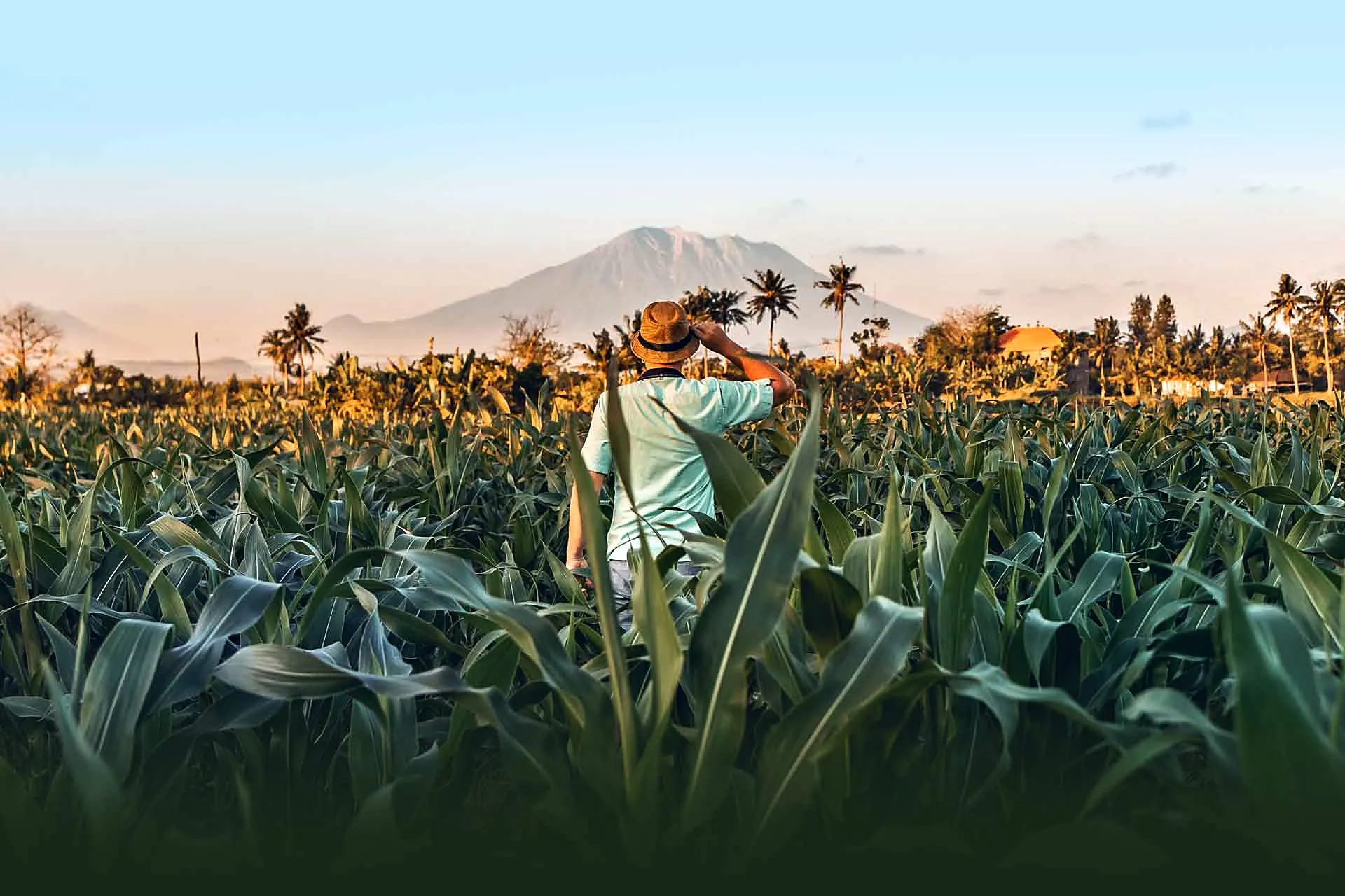 Student in a field in front of a volcano in Bali