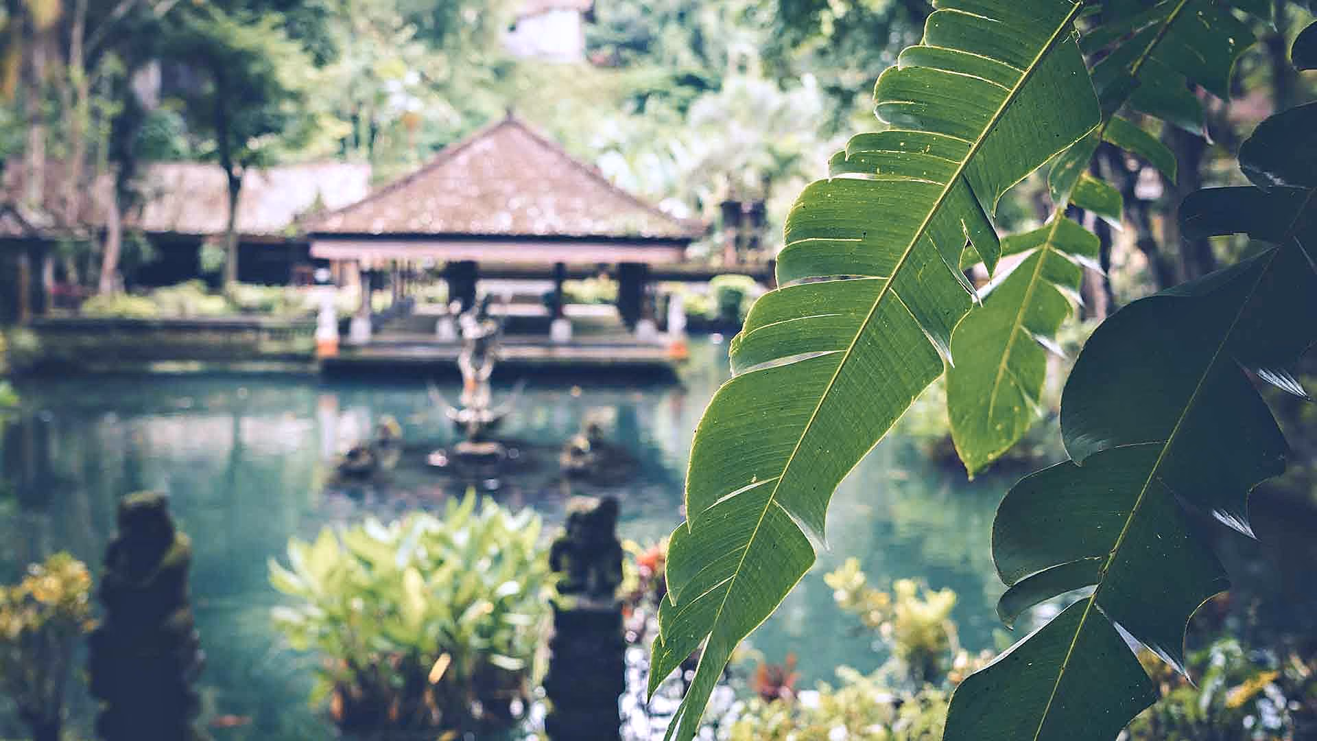 Pavilion and ponds of a water palace in Bali, a trip for students
